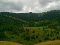 Jadovnik