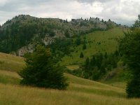 Lovačka sekcija Gonje