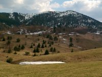 Lovište sekcije Gonje