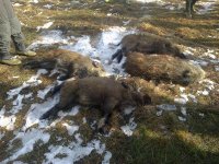 Pobratimsko druženje u Sjenici, decembar 2013.godine