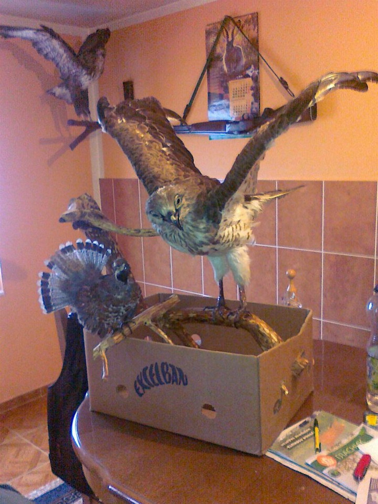 Lovačka sekcija Gonje