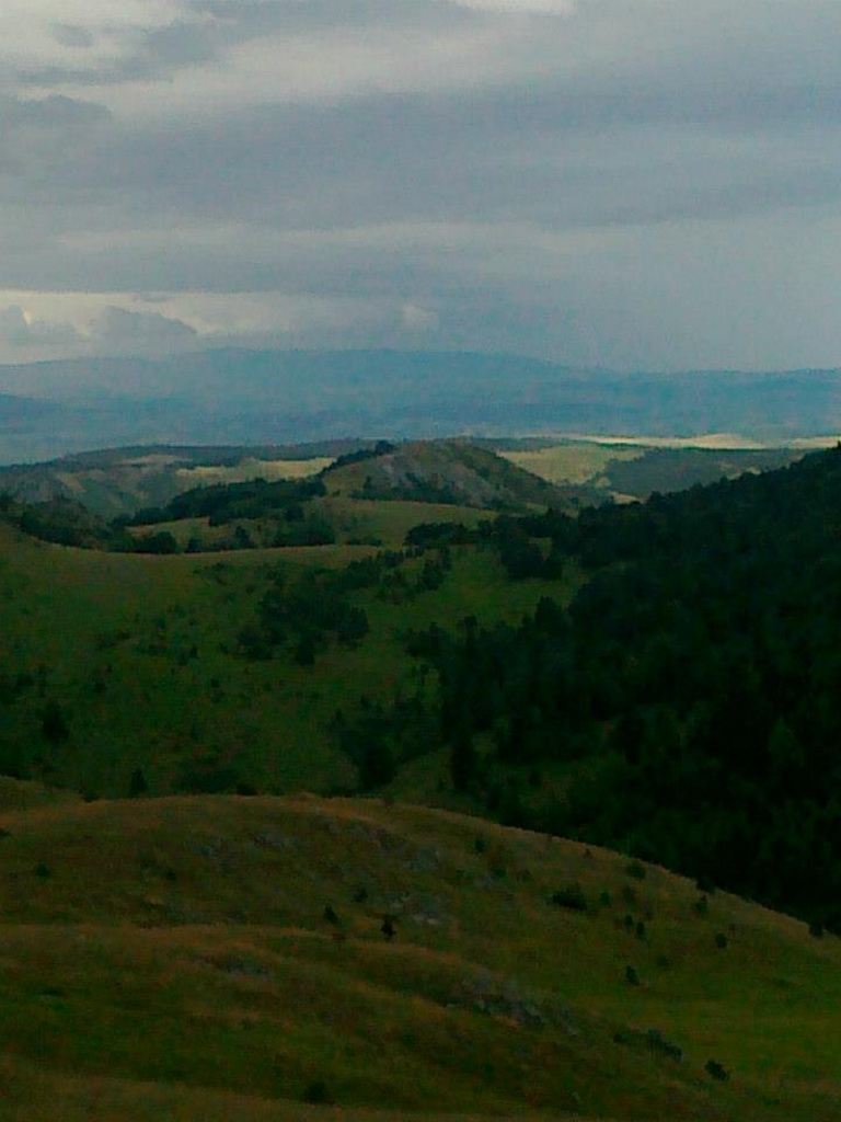 Lovačka sekcija Gonje
