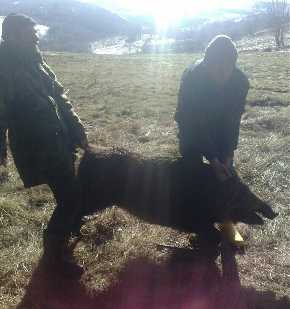 Lovačka sekcija Kladnica