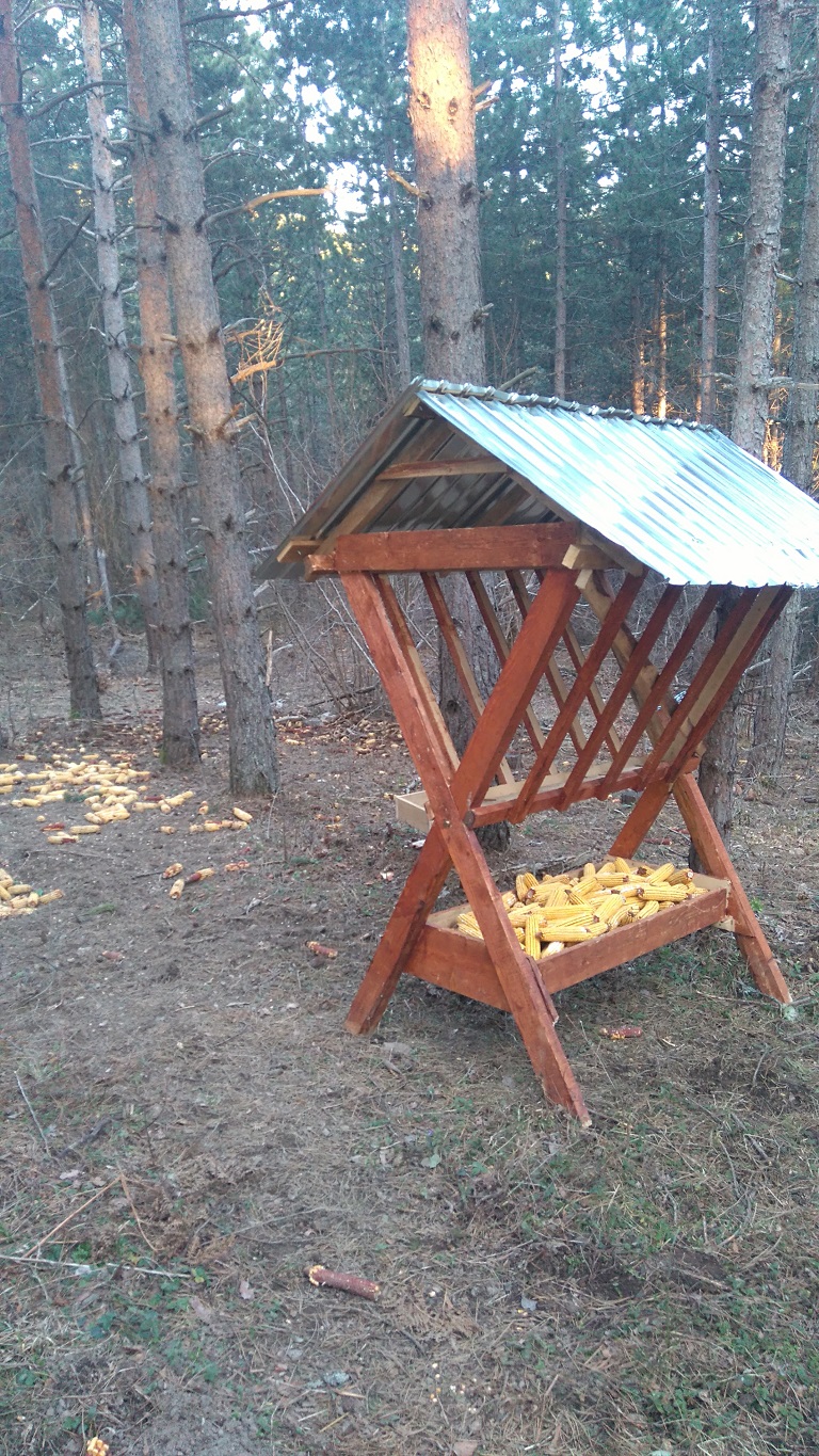 Hranilica Babinjača Gradac