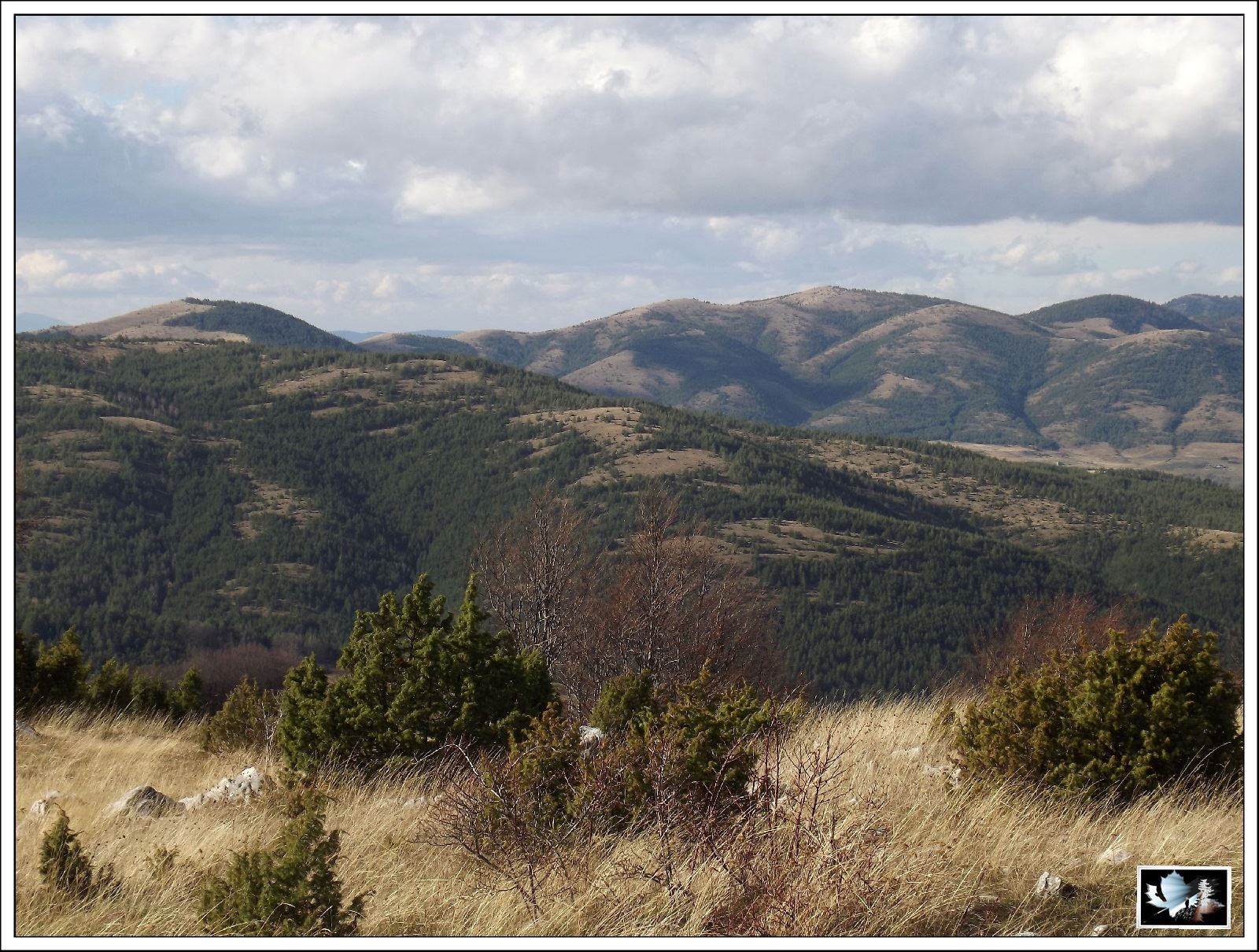 Lovište "Caričin grad"