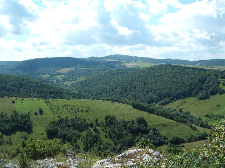 Lovište "Caričin  Grad"