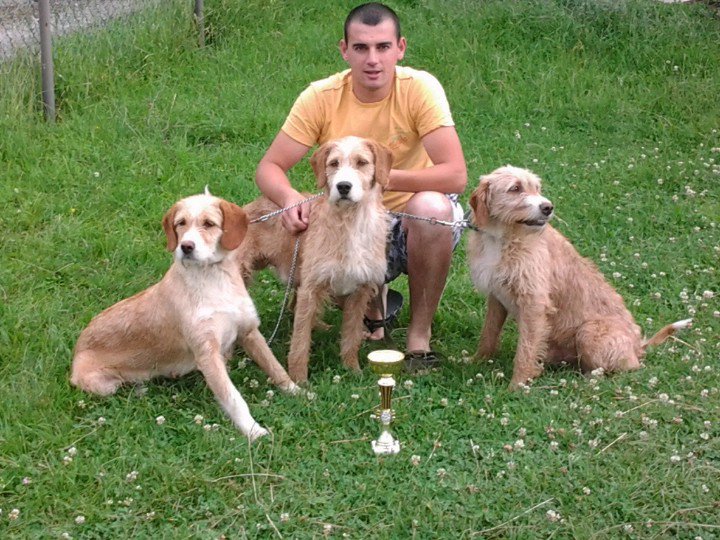 Admirovi (Kuharovi) goniči