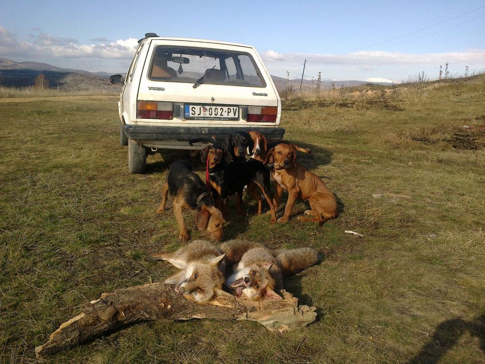 Goniči od Salihagića